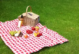 华体会登入 贾马尔穆雷和女朋友ins视频23秒 