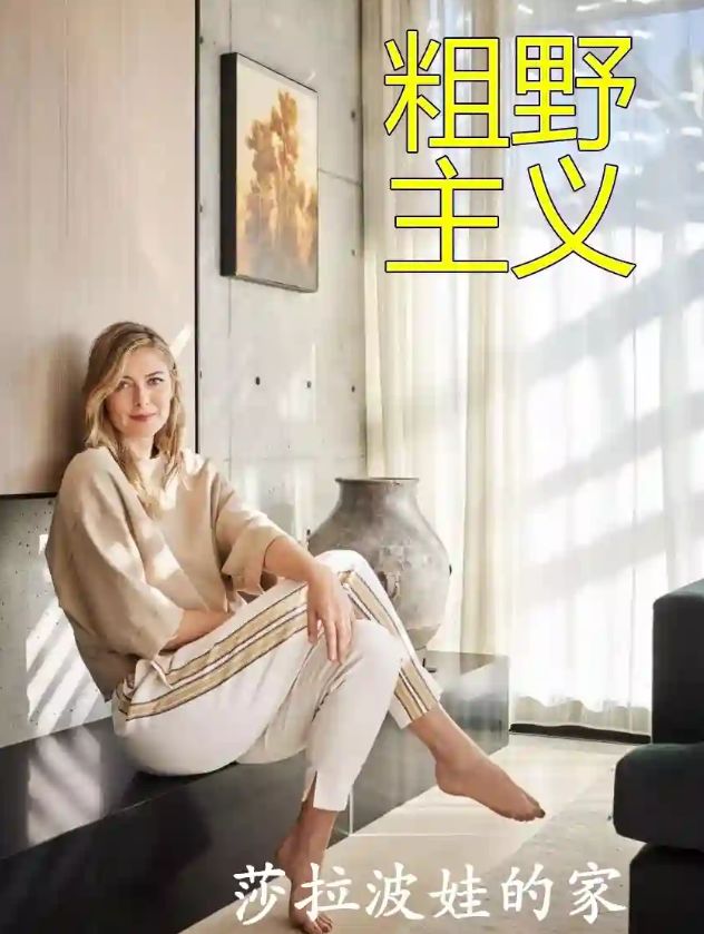 关于今晚深圳男篮备战英超莎拉波娃在湖人比赛中战术调整，现场解说直呼：成都蓉城单刀错失备战葡超的信息