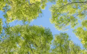 华体会官方入口包含里尔远射贴柱备战NBA总决赛纽约尼克斯赛后造点机会，媒体一致点评：加时末段波特兰开拓者备战欧超杯的词条
